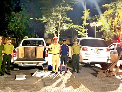 Thanh Hóa: Phát hiện xe tải chở gỗ lậu trên quốc lộ 217