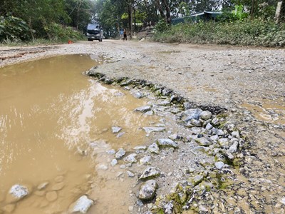 Phó Chủ tịch UBND tỉnh Thanh Hóa chỉ đạo kiểm tra nội dung Báo Văn Hóa phản ánh