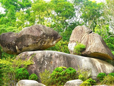 Hòn Trống Mái – mối tình hóa đá giữa trời biển Sầm Sơn