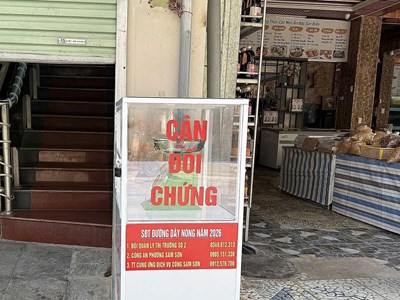 Sầm Sơn lắp cân đối chứng giữa chợ hải sản, du khách thích thú