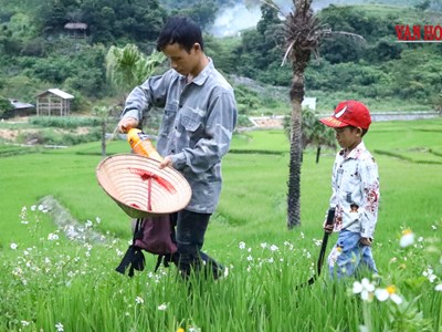 Kỳ 1 - Khi mầm chữ trổ bông trên nương đá Bản Tèn
