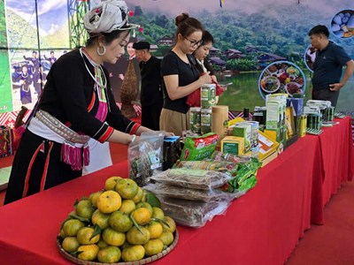 Quảng bá văn hóa truyền thống và sản phẩm OCOP của các địa phương 