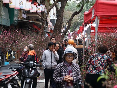 “Sống chậm” ở chợ hoa Hàng Lược 