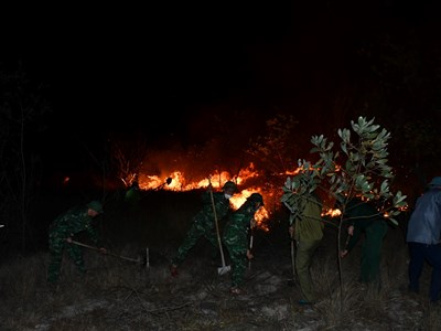 Vụ cháy rừng phòng hộ ven biển Hải Ninh đã được khống chế