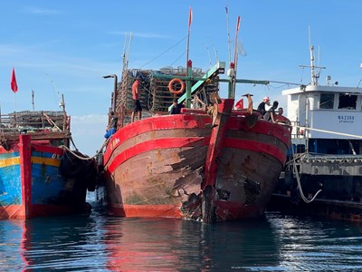 Tàu hàng va chạm với tàu cá, 8 ngư dân được bạn thuyền cứu sống