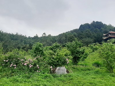 Phu nhân Đại tướng Võ Nguyên Giáp sẽ được an táng tại Vũng Chùa - Đảo Yến