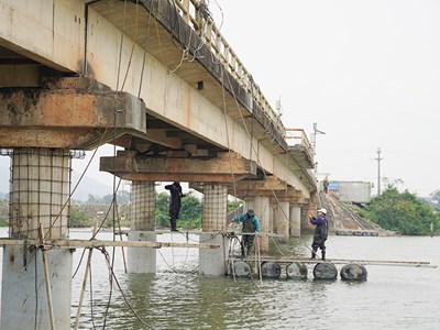 Gia cố cầu Sông Thai để người dân lưu thông an toàn trong dịp Tết Nguyên đán Ất Tỵ