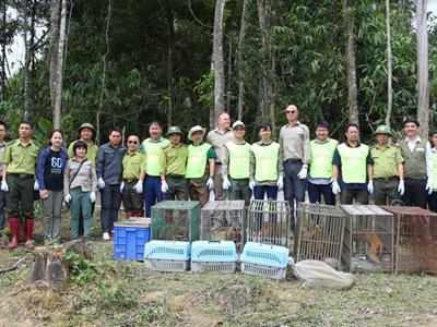 Tái thả nhiều cá thể động vật rừng về môi trường tự nhiên