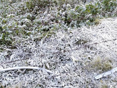 Băng giá phủ trắng nhiều bản làng miền Tây xứ Nghệ