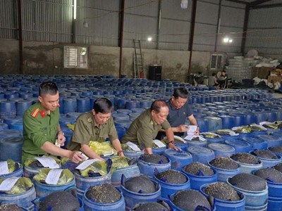 Triệt phá đường dây 3.500 tấn giá đỗ tẩm hóa chất độc hại 