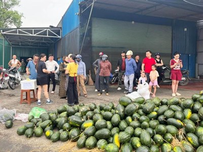 “Giải cứu” hàng tấn dưa hấu giúp tài xế xe tải gặp nạn