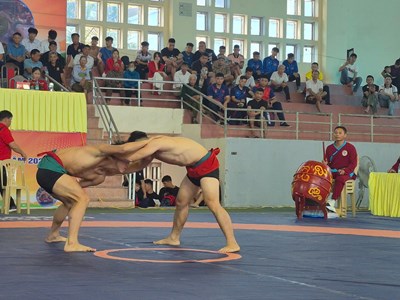 Gần 200 đô vật tranh tài tại Giải vô địch Vật dân tộc quốc gia 2025