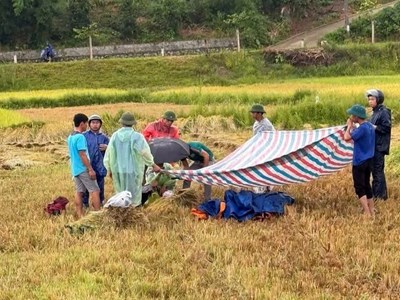 Liên tiếp hai người bị sét đánh tử vong giữa cánh đồng