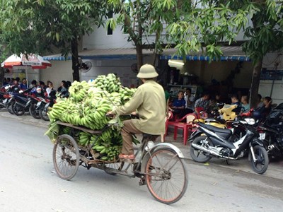 Lao động oằn mình mưu sinh trong “chảo lửa” xứ Nghệ