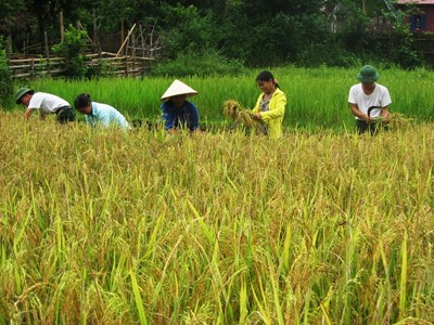 Trao Giấy chứng nhận quyền sử dụng đất cho đồng bào Đan Lai vùng lõi Pù Mát
