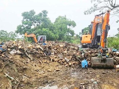 Xử lý bãi tập kết phế phẩm “nghĩa địa” đầu bò ô nhiễm