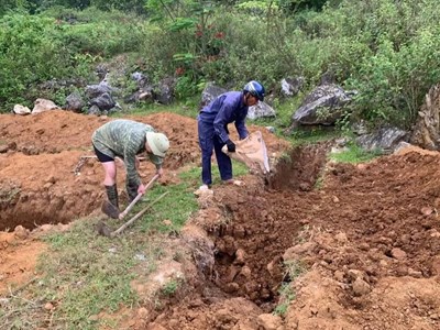 Xác lợn trôi sông, dịch bệnh tả lợn châu Phi diễn biến phức tạp