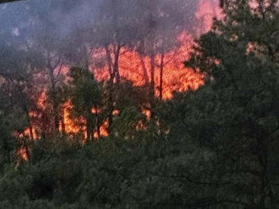 Cháy rừng thông, hàng trăm người nỗ lực dập lửa trong đêm