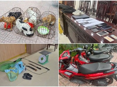 Triệt xóa ổ nhóm dùng hung khí trộm chó và tài sản có tổ chức