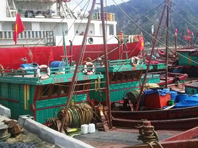 Ứng phó bão Bualoi, Nghệ An cấm tàu thuyền ra khơi từ 5 giờ ngày 27.9 
