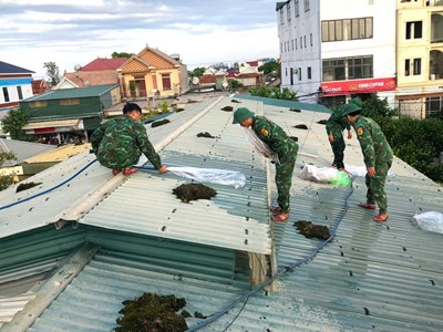 Chằng néo tàu thuyền, nhà cửa, khách sạn ứng phó bão số 10