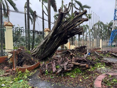 Bão số 10 quần thảo Nghệ An, gây thiệt hại nghiêm trọng 