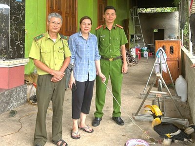 Người dân giao nộp chim hồng hoàng quý hiếm 