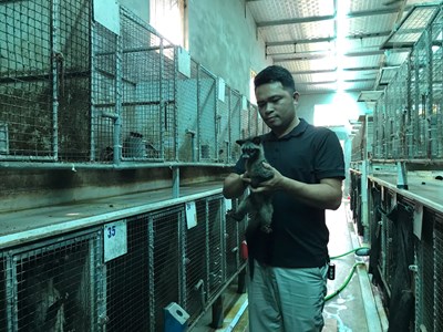 Mô hình nuôi chồn hương mở lối làm giàu cho nông dân xứ Nghệ 