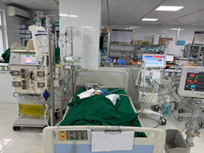 Bé gái 9 tuổi thoát chết sau khi bị ong vò vẽ đốt hơn 50 nốt