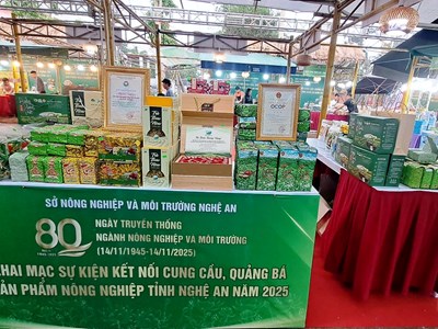 Thúc đẩy kết nối cung cầu sản phẩm nông nghiệp Nghệ An 2025