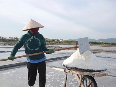 Diêm dân tăng giá trị “hạt ngọc trời” nhờ hướng sản xuất mới