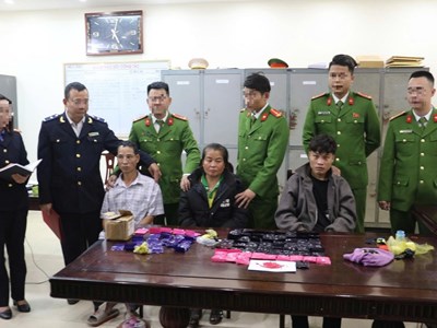 Triệt phá đường dây ma túy quy mô lớn hoạt động trong rừng sâu