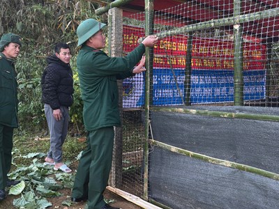 Bộ đội giúp bà con vùng biên chống rét cho gia súc