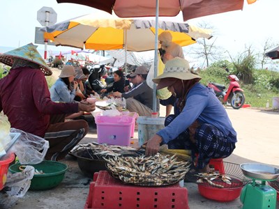 Mùa cá trích nướng tạo “cơn sốt” hút khách ven biển