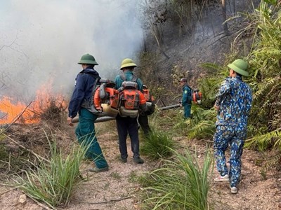 Căng mình dập lửa xuyên hai ngày đêm, cơ bản khống chế vụ cháy rừng ở Nghệ An