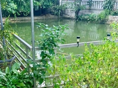 Thương tâm hai chị em ruột đuối nước dưới ao cạnh nhà