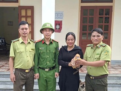Liên tiếp cứu hộ động vật hoang dã quý hiếm, thả về môi trường tự nhiên