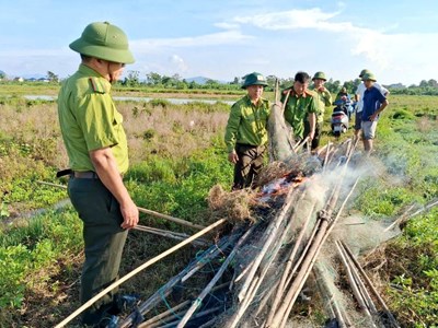Gỡ “thiên la địa võng”, ngăn chặn nạn săn bắt chim trời