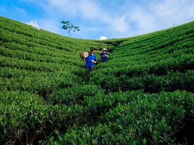 Du lịch cộng đồng đồng hành cùng người dân Thái Nguyên giảm nghèo