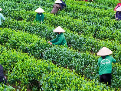 Thái Nguyên đồng bộ các giải pháp giảm nghèo bền vững