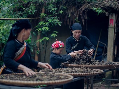 “Đòn bẩy” giúp Thái Nguyên thúc đẩy giảm nghèo bền vững