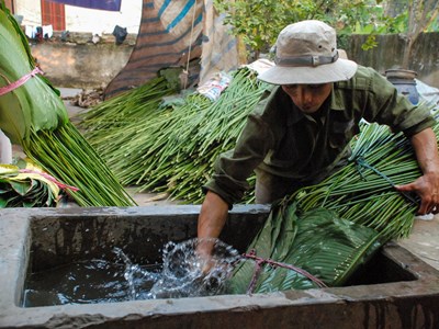 Làng lá dong Tràng Cát tất bật vụ Tết