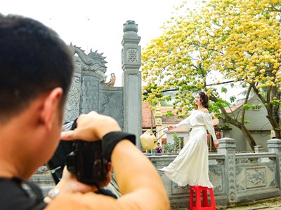 Người Hà Nội đi “săn” ảnh hoa bún chỉ nở một lần trong năm