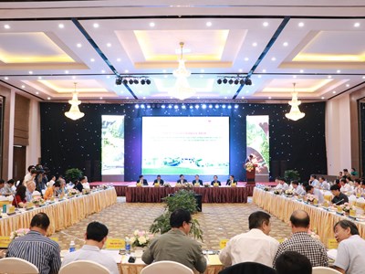 Quản lý và phát triển thành phố di sản