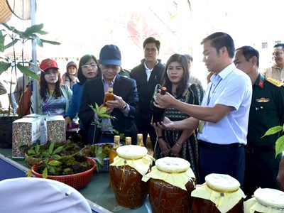 Xúc tiến du lịch khu vực Tây Nguyên nhân dịp tổ chức Festival sâm Ngọc Linh - Kon Tum lần thứ Nhất, năm 2024
