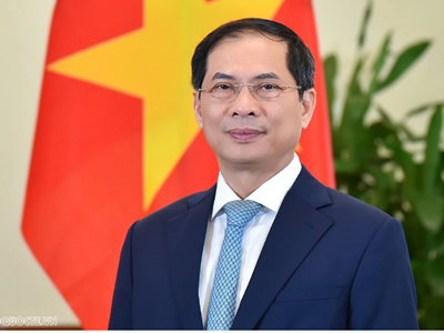 Bộ trưởng Bộ Ngoại giao Bùi Thanh Sơn được phê chuẩn bổ nhiệm giữ chức Phó Thủ tướng Chính phủ