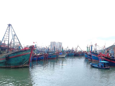 Đề nghị các nước hỗ trợ ngư dân, tàu thuyền của Việt Nam trú tránh bão số 4