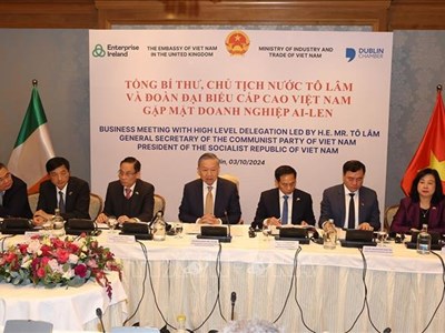 Tổng Bí thư, Chủ tịch nước Tô Lâm gặp mặt doanh nghiệp Ireland