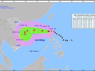 Chủ động ứng phó với bão TRAMI