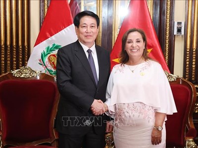 Chủ tịch nước Lương Cường hội đàm với Tổng thống Peru Dina Ercilia Boluarte Zegarra